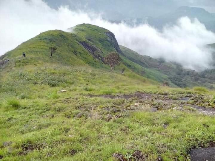 Jungle Retreat Natural Stay Kombaikadu Kodaikanal Buitenkant foto